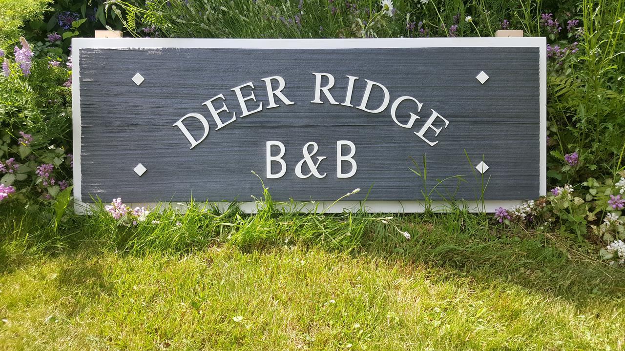 Deer Ridge B&B ゴールデン エクステリア 写真